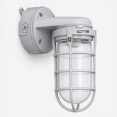 Caged Jelly Jar Vapor Tight Wall Light - E26 Base, IP65 - Gray
