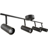 theBeam 4-Heads LED Ceiling Spot Lights | Black
