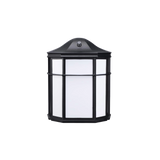 LED Landscape Light - 3-CCT Selectable - 1000 Lumens - Black - Pavilion Polygon