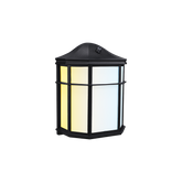 LED Landscape Light - 3-CCT Selectable - 1000 Lumens - Black - Pavilion Polygon