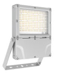 LED Hazloc Flood Light - Class I Div 2 - 75-240W - 5000K - 3/4 in NPT Entry - view 2