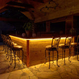 LeonLite® Pro 120V Neon Rope Light - Amber