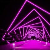 LeonLite® Pro 120V Neon Rope Light - Pink