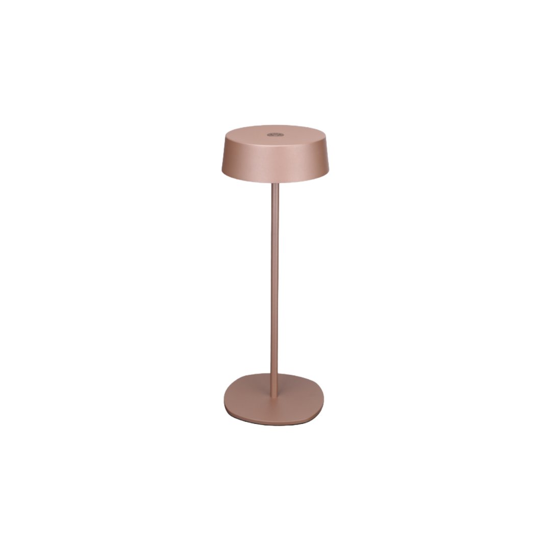 Cordless LED Table Lamp - Rechargeable Portable Design - 2700K 240lm - Bronze