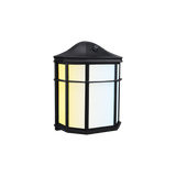 LED Landscape Light - 3-CCT Selectable - 1000 Lumens - Black - Pavilion Polygon