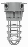 LED Explosion-Proof Light - Class I Div 2 & Class II Div 1/2 - CSA & UL844 - 20-27W - 5000K - view 2