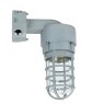 LED Explosion-Proof Light - Class I Div 2 & Class II Div 1/2 - CSA & UL844 - 20-27W - 5000K - view 3