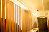 ArchLine Dotless SC