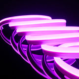 LeonLite® Pro 120V Neon Rope Light - Pink